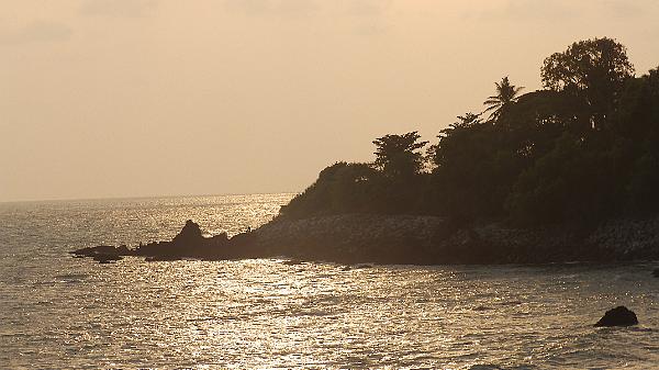 Kannur (244)